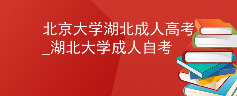 北京大学湖北成人高考_湖北大学成人自考