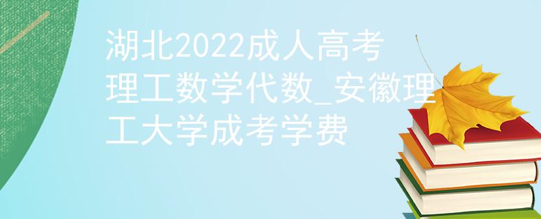 湖北2022成人高考理工数学代数_安徽理工大学成考学费