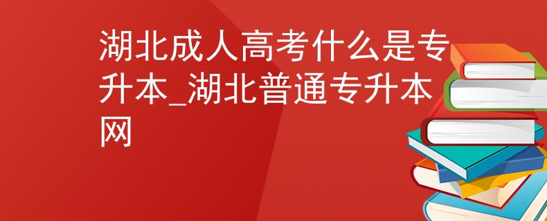 湖北成人高考什么是专升本_湖北普通专升本网