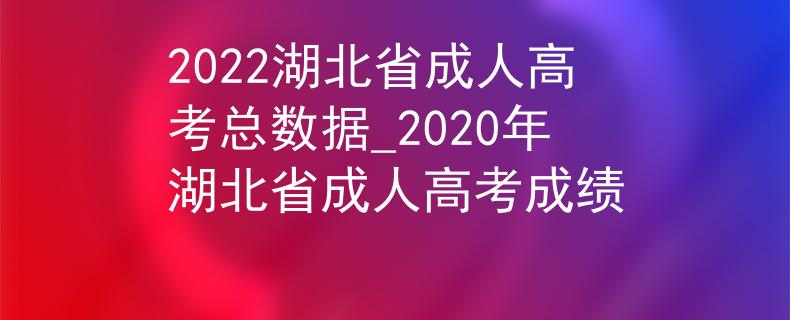 2022湖北省成人高考总数据_2020年湖北省成人高考成绩