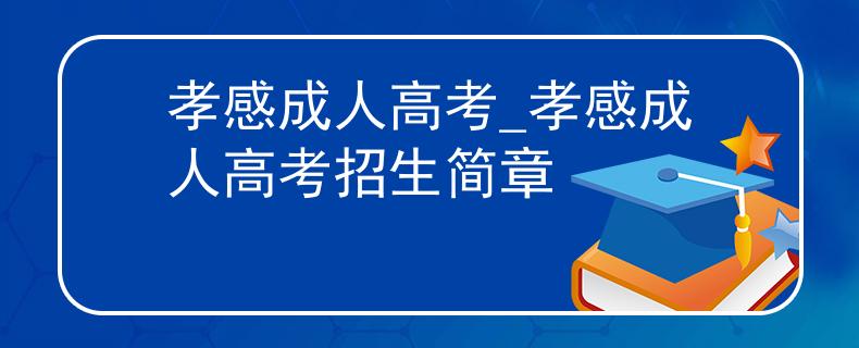 孝感成人高考_孝感成人高考招生简章