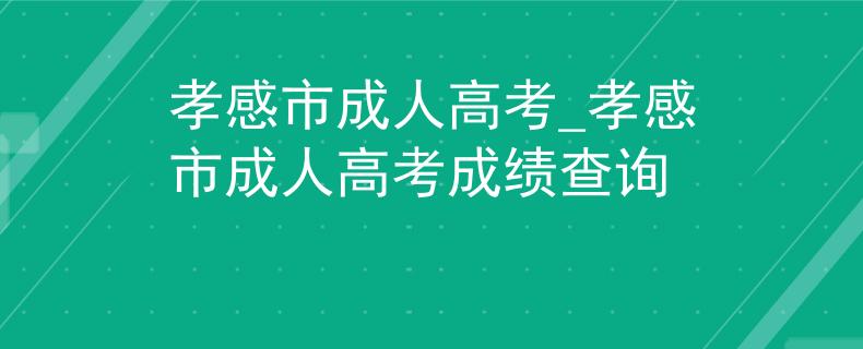 孝感市成人高考_孝感市成人高考成绩查询