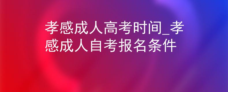 孝感成人高考时间_孝感成人自考报名条件