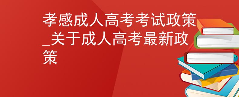 孝感成人高考考试政策_关于成人高考最新政策
