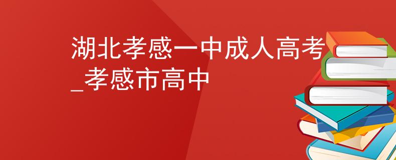 湖北孝感一中成人高考_孝感市高中