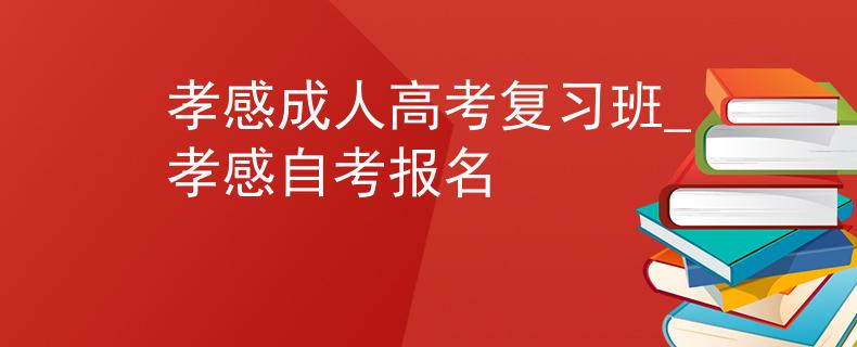 孝感成人高考复习班_孝感自考报名