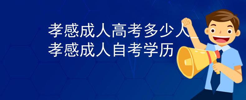 孝感成人高考多少人_孝感成人自考学历