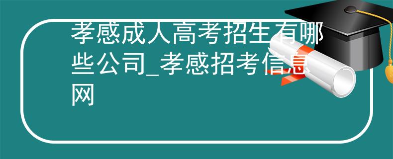 孝感成人高考招生有哪些公司_孝感招考信息网