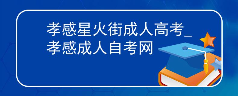 孝感星火街成人高考_孝感成人自考网