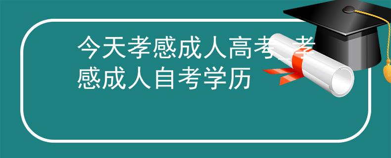 今天孝感成人高考_孝感成人自考学历
