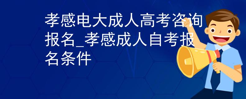 孝感电大成人高考咨询报名_孝感成人自考报名条件