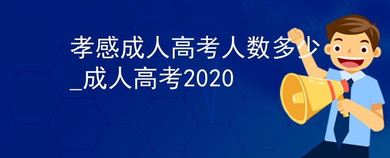孝感成人高考人数多少_成人高考2020