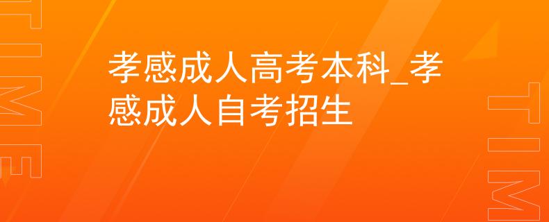 孝感成人高考本科_孝感成人自考招生