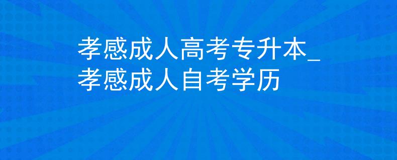 孝感成人高考专升本_孝感成人自考学历