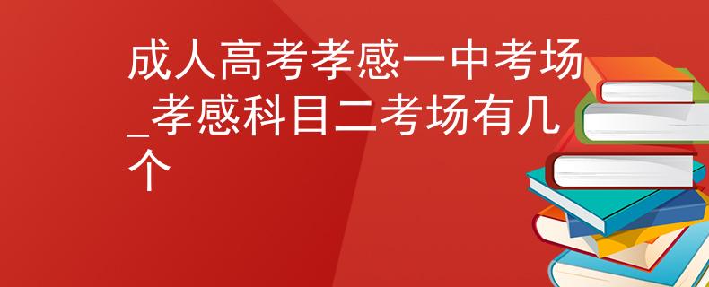 成人高考孝感一中考场_孝感科目二考场有几个
