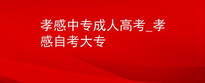 孝感中专成人高考_孝感自考大专