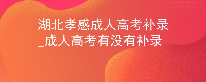 湖北孝感成人高考补录_成人高考有没有补录