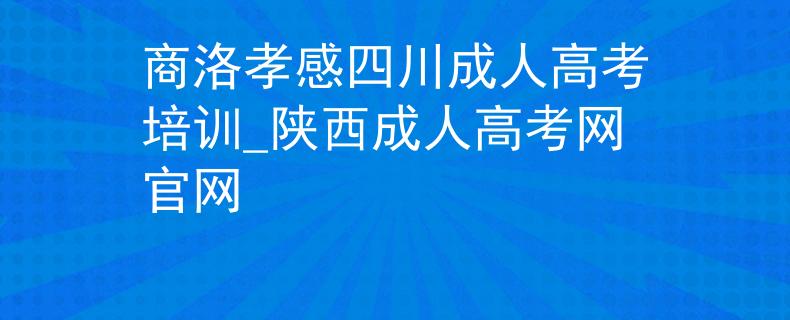 商洛孝感四川成人高考培训_陕西成人高考网官网
