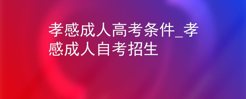 孝感成人高考条件_孝感成人自考招生