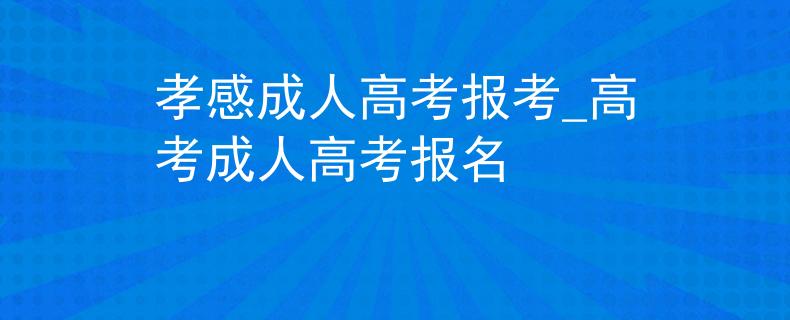 孝感成人高考报考_高考成人高考报名