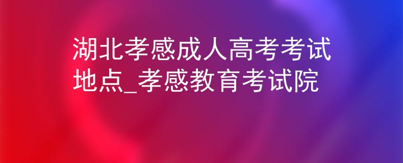 湖北孝感成人高考考试地点_孝感教育考试院