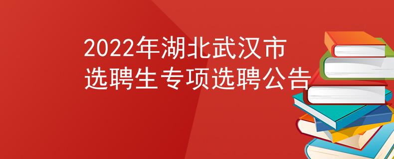 2022年湖北武汉市选聘生专项选聘公告