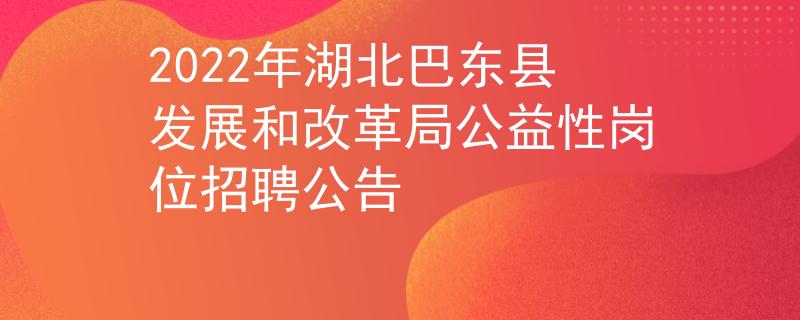 2022年湖北巴东县发展和改革局公益性岗位招聘公告