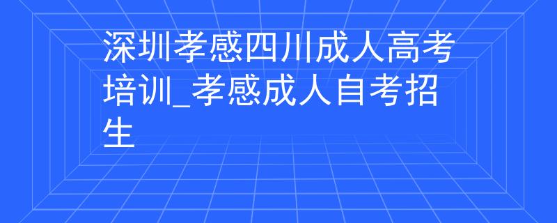 深圳孝感四川成人高考培训_孝感成人自考招生
