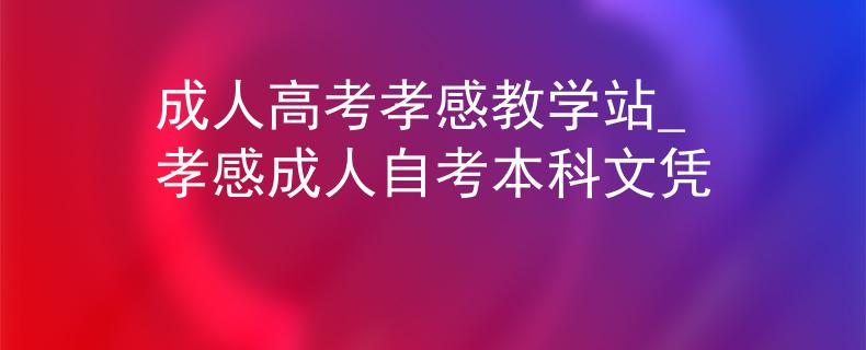 成人高考孝感教学站_孝感成人自考本科文凭