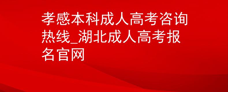 孝感本科成人高考咨询热线_湖北成人高考报名官网