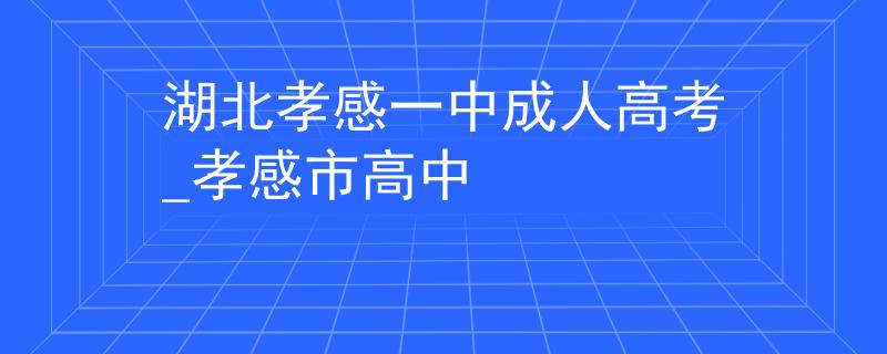 湖北孝感一中成人高考_孝感市高中