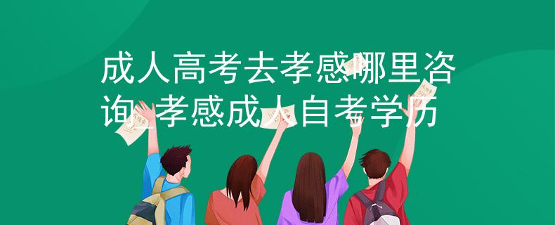 成人高考去孝感哪里咨询_孝感成人自考学历