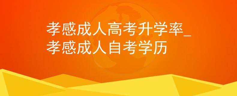 孝感成人高考升学率_孝感成人自考学历