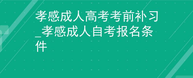 孝感成人高考考前补习_孝感成人自考报名条件