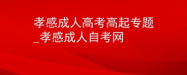 孝感成人高考高起专题_孝感成人自考网