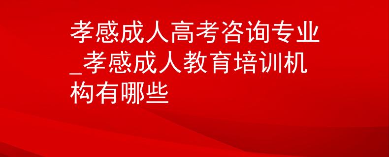 孝感成人高考咨询专业_孝感成人教育培训机构有哪些