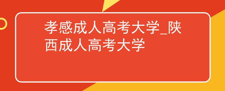 孝感成人高考大学_陕西成人高考大学