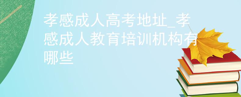 孝感成人高考地址_孝感成人教育培训机构有哪些