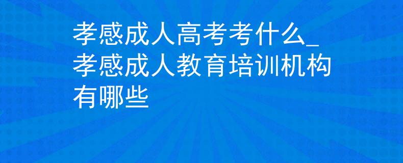 孝感成人高考考什么_孝感成人教育培训机构有哪些