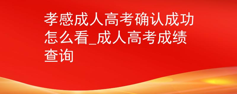 孝感成人高考确认成功怎么看_成人高考成绩查询