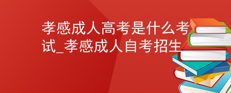 孝感成人高考是什么考试_孝感成人自考招生