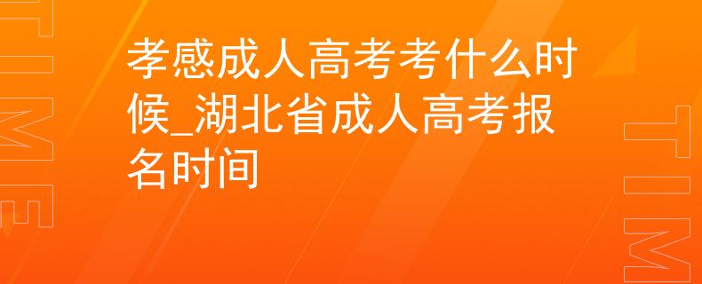孝感成人高考考什么时候_湖北省成人高考报名时间