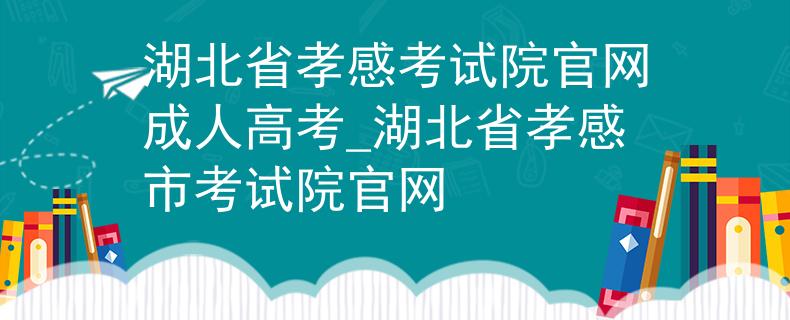 湖北省孝感考试院官网成人高考_湖北省孝感市考试院官网