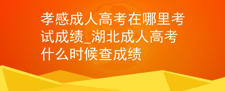 孝感成人高考在哪里考试成绩_湖北成人高考什么时候查成绩 孝感成人高考在哪里考试成绩_湖北成人高考什么时候查成绩
