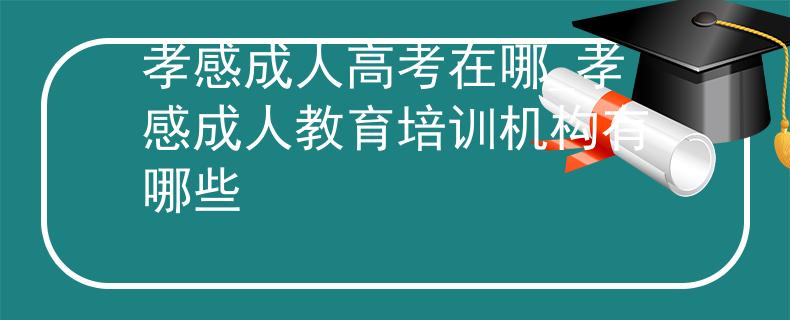 孝感成人高考在哪_孝感成人教育培训机构有哪些