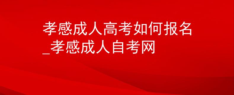 孝感成人高考如何报名_孝感成人自考网