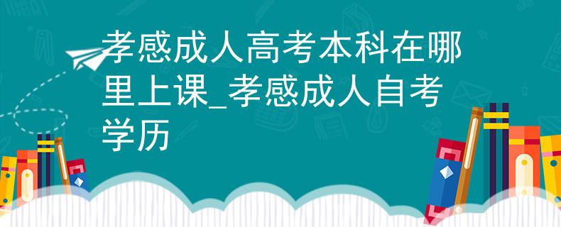 孝感成人高考本科在哪里上课_孝感成人自考学历
