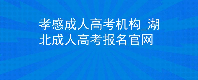 孝感成人高考机构_湖北成人高考报名官网