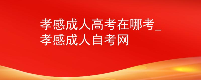 孝感成人高考在哪考_孝感成人自考网