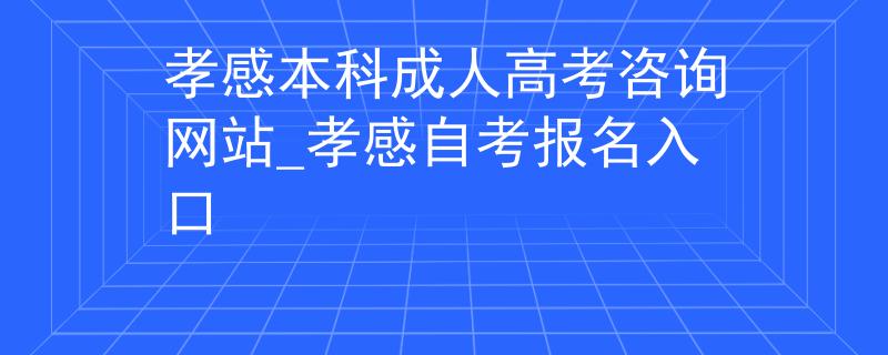 孝感本科成人高考咨询网站_孝感自考报名入口